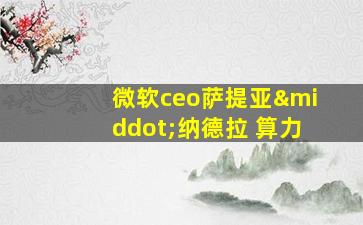 微软ceo萨提亚·纳德拉 算力